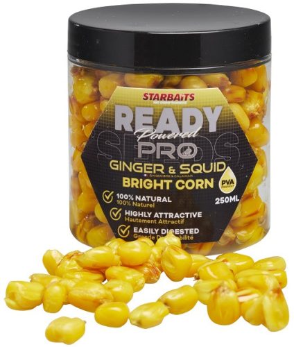 Kukorica Bright Ready Seeds Pro Ginger Squid 250ml